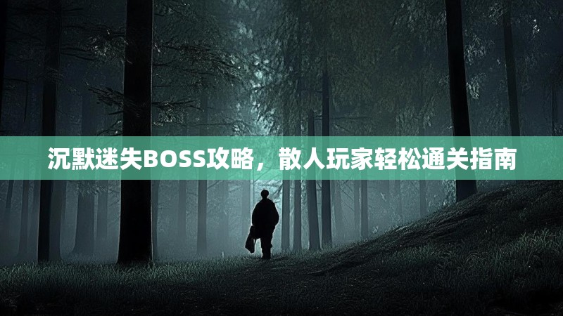 沉默迷失BOSS攻略，散人玩家轻松通关指南
