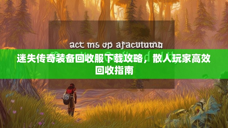 迷失传奇装备回收服下载攻略，散人玩家高效回收指南