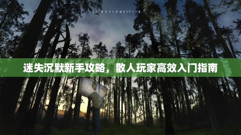 迷失沉默新手攻略，散人玩家高效入门指南