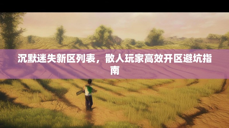 沉默迷失新区列表，散人玩家高效开区避坑指南