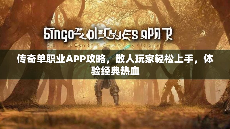 传奇单职业APP攻略，散人玩家轻松上手，体验经典热血