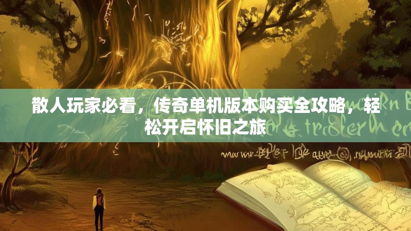 散人玩家必看，传奇单机版本购买全攻略，轻松开启怀旧之旅